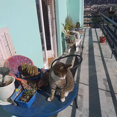 Hellas Palace Balcony מלון דירות ספארטי