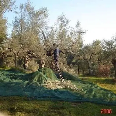 מלון דירות Hellas Palace Balcony ספארטי