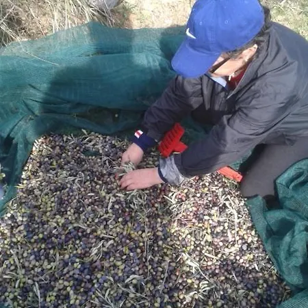 מלון דירות Hellas Palace Balcony *