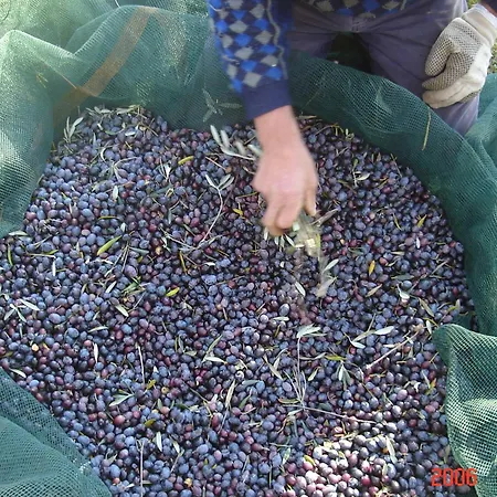 מלון דירות Hellas Palace Balcony ספארטי