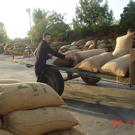 Hellas Palace Balcony *