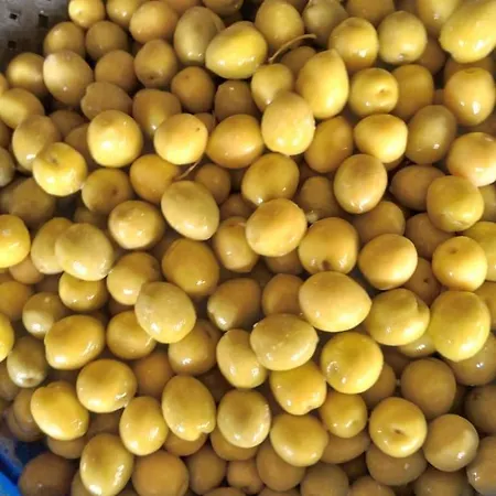 公寓式酒店 Hellas Palace Balcony *