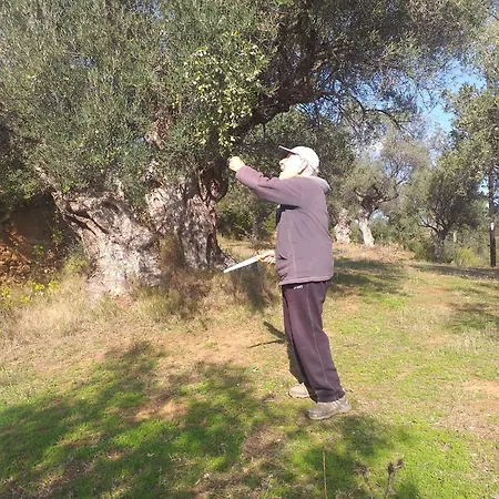 公寓式酒店 Hellas Palace Balcony *