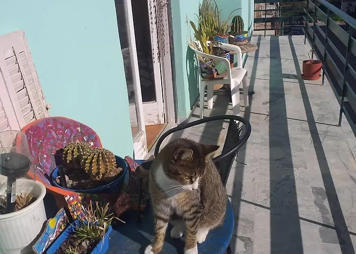 Hellas Palace Balcony Apart-hotel Sparta