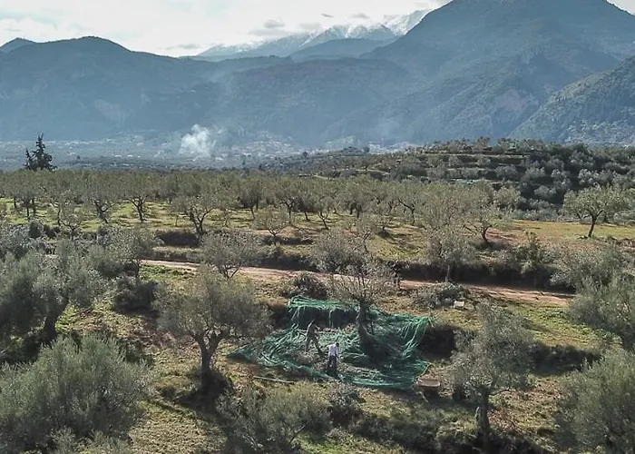 Hellas Palace Balcony 斯巴达