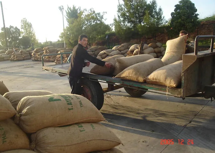 Hellas Palace Balcony *