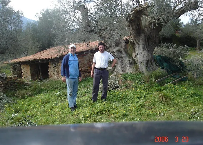 Hellas Palace Balcony * Sparta