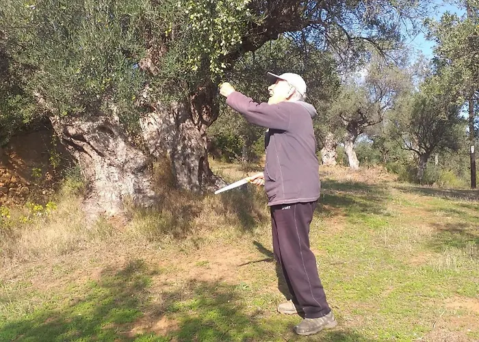 Apart-hotel Hellas Palace Balcony *